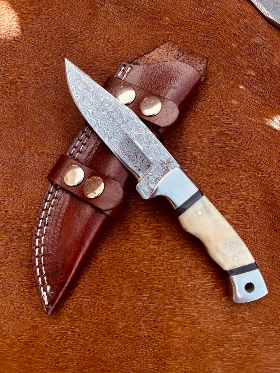 8 Inches HAND FORGED High Carbon Steel Hunting knife + Leather Sheath – ZB  Knives Store