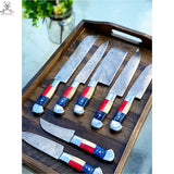 07 PCS HAND FORGED Full Tang Damascus Steel Texas Flag Handle Kitchen Set knives + Leather Sheath ZB Knives Store