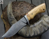 10.5" Inches HAND FORGED Damascus Steel Hunting Knife + leather sheath - ZB Knives Store