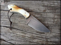 7"inches HAND FORGED Full Tang 1095 High Carbon Steel Skinning knife + Leather Sheath ZB Knives Store