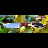 2 3/4" Blade Belt Knife Bone and Walnut Wood Handle (knife sheath) - ZB Knives Store
