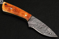 CUSTOM HANDMADE DAMASCUS HUNTING KNIFE HANDLE BURN BONE ZB Knives Store