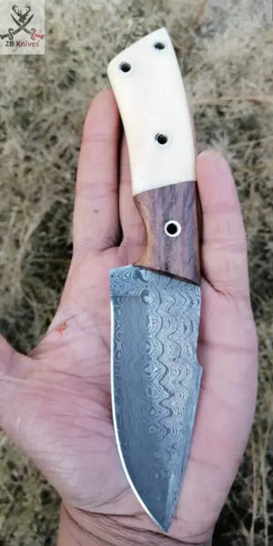 CUSTOM HANDMADE DAMASCUS HUNTING KNIFE Rosewood and Camel Bone ,Brass Pins ZB Knives Store