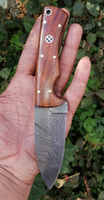 CUSTOM HANDMADE DAMASCUS HUNTING KNIFE HANDLE Rosewood ,Brass Pins