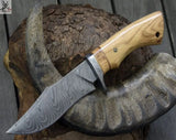 10.5" Inches HAND FORGED Damascus Steel Hunting Knife + leather sheath ZB Knives Store