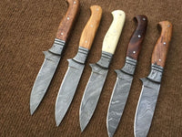 Beautiful Custom Handmade Damascus Steel Steak Knives set - ZB Knives Store